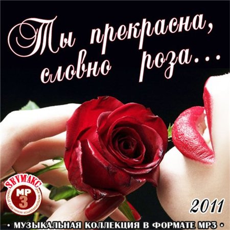 Загрузка изображения