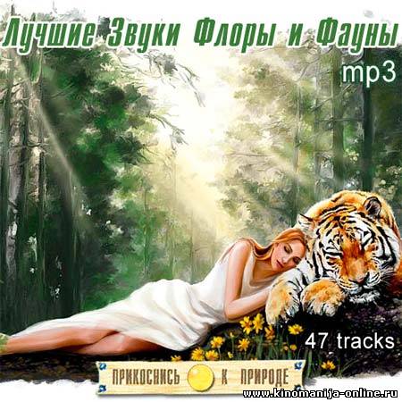 Загрузка изображения